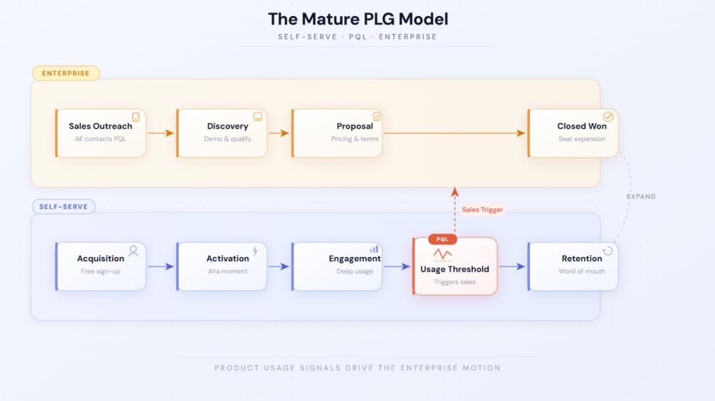 Mature PLG model showing self-serve growth with product-qualified leads triggering enterprise sales expansion.